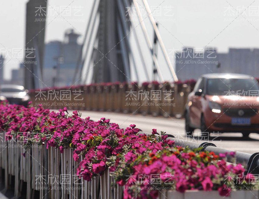 鋁合金創(chuàng)意花箱有哪些款式？