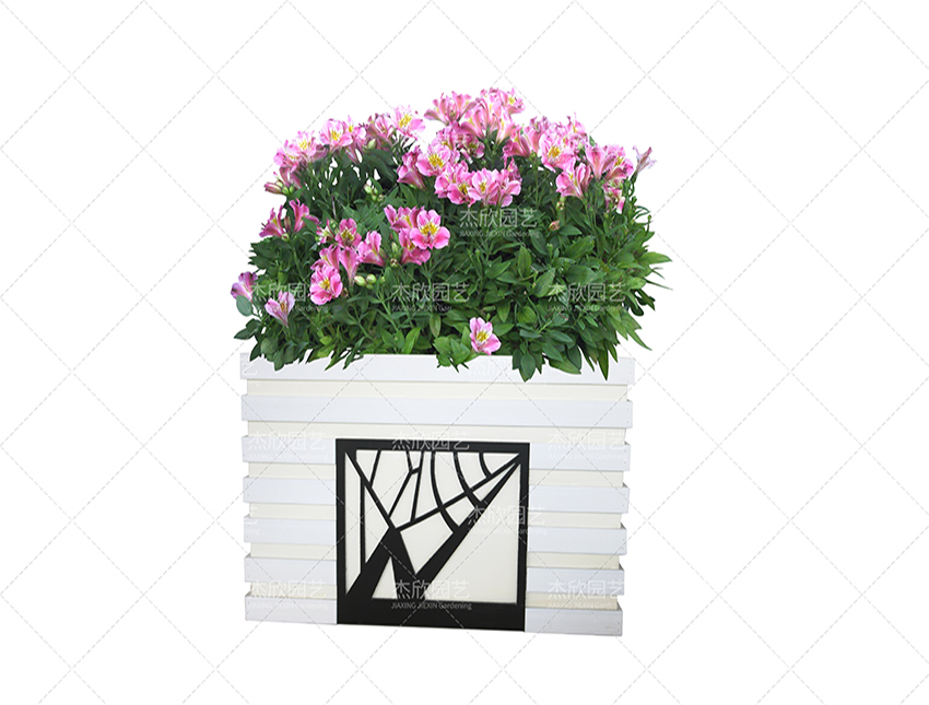 組合花箱中有哪些創(chuàng)意款式？