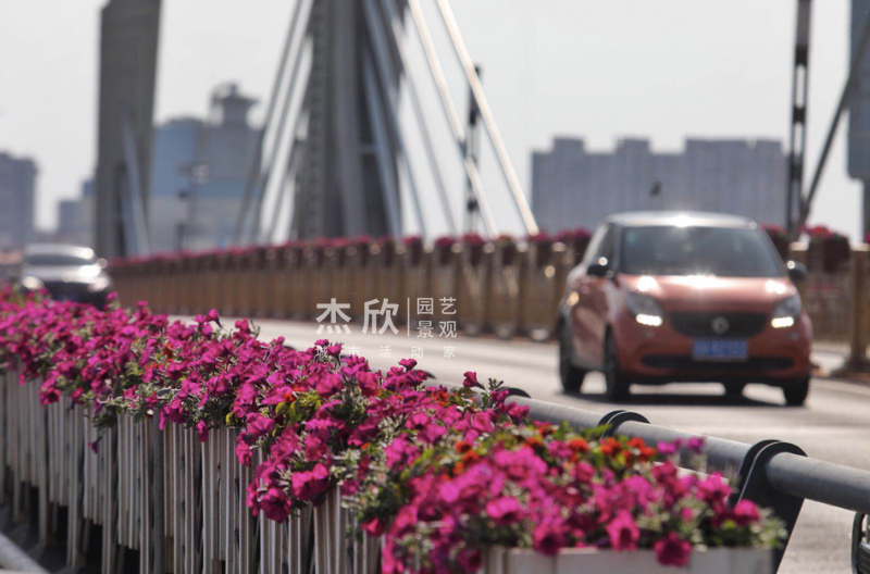 花箱尺寸如何確定？